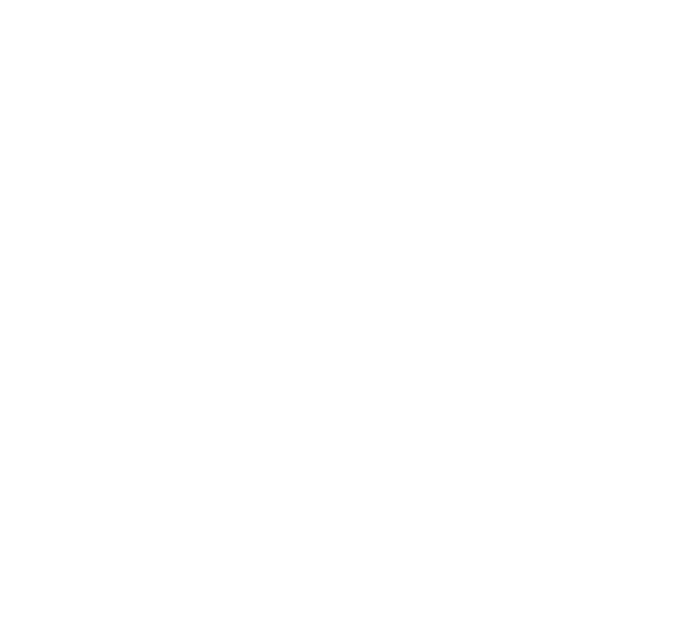 Хрупкий мир — часы ручной работы